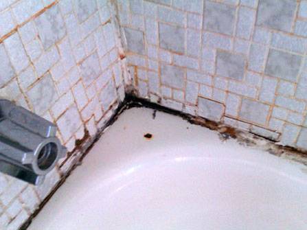 Покрыть ванну акрилом и грибок